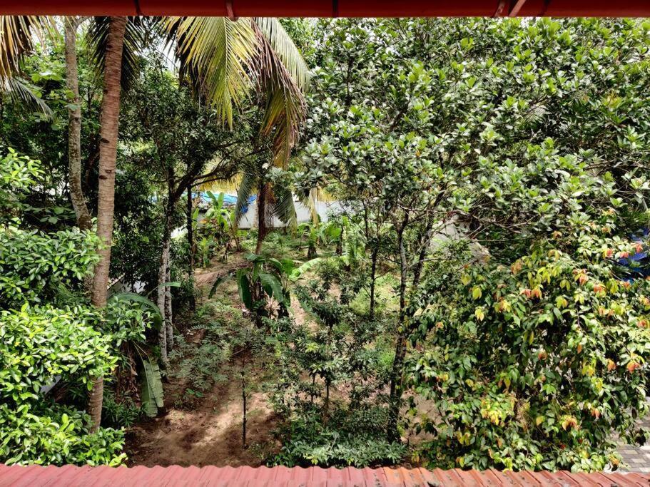 Anandam Stays - Premium 3Bhk Plush Homestay, Vaikom Near Kumarakom Kültér fotó